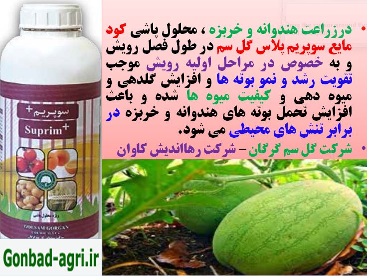 کود سوپریم پلاس برای تقویت گلدهی و میوه دهی هندوانه و خربزه 8