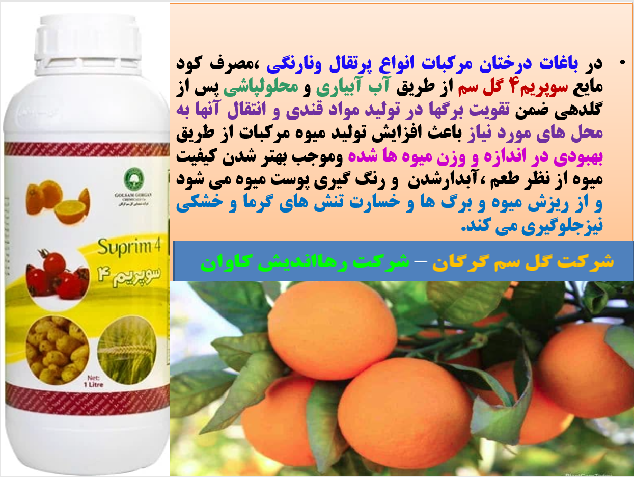کود مایع سوپریم۴ - گل سم برای تقویت میوه دهی درختان مرکبات - قسمت اول 1