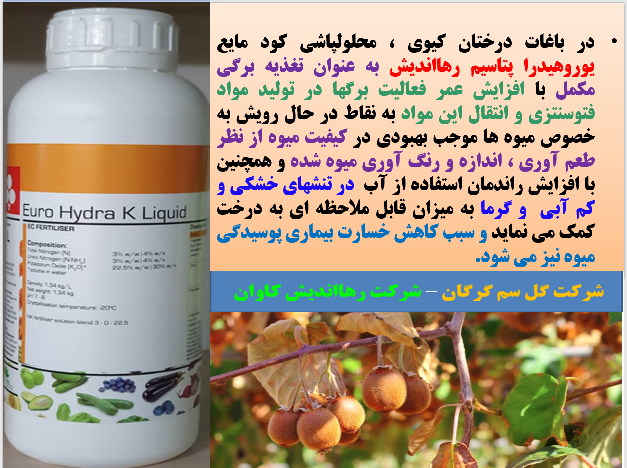 کود مایع یوروهیدرا پتاسیم برای بهبودی در کیفیت میوه کیوی - قسمت اول 186