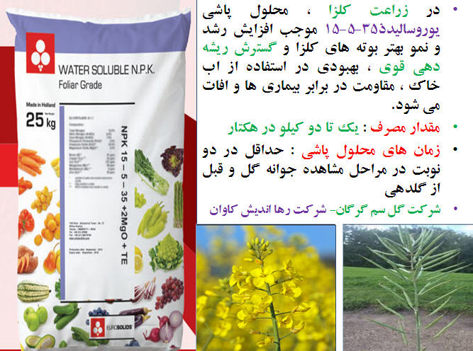 تغذیه کلزا ( قسمت پنجم) 288