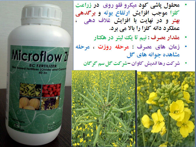تغذیه کلزا( قسمت یازدهم) 283