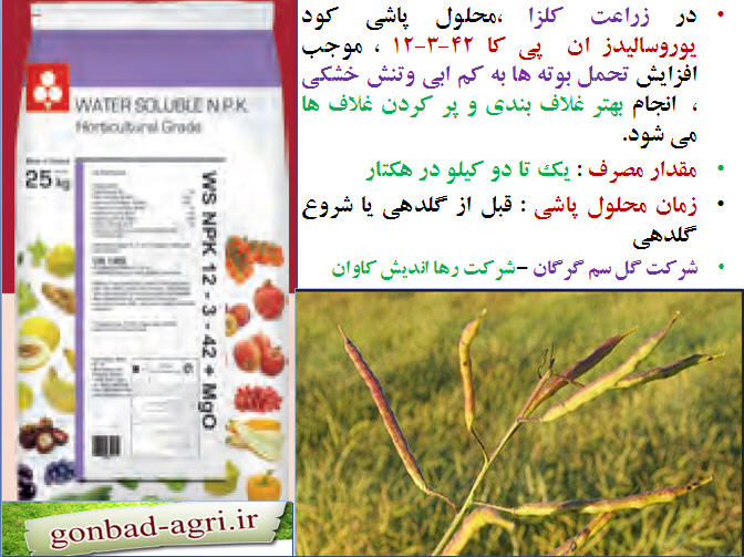 تغذیه کلزا ( قسمت دوازدهم) 282