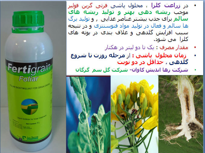 تغذیه کلزا ( قسمت سیزدهم) 281