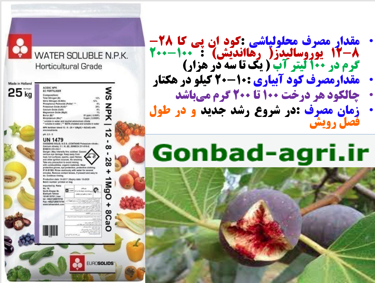 کود کامل یوروسالیدز برای درختان انجیر – قسمت دوم 774