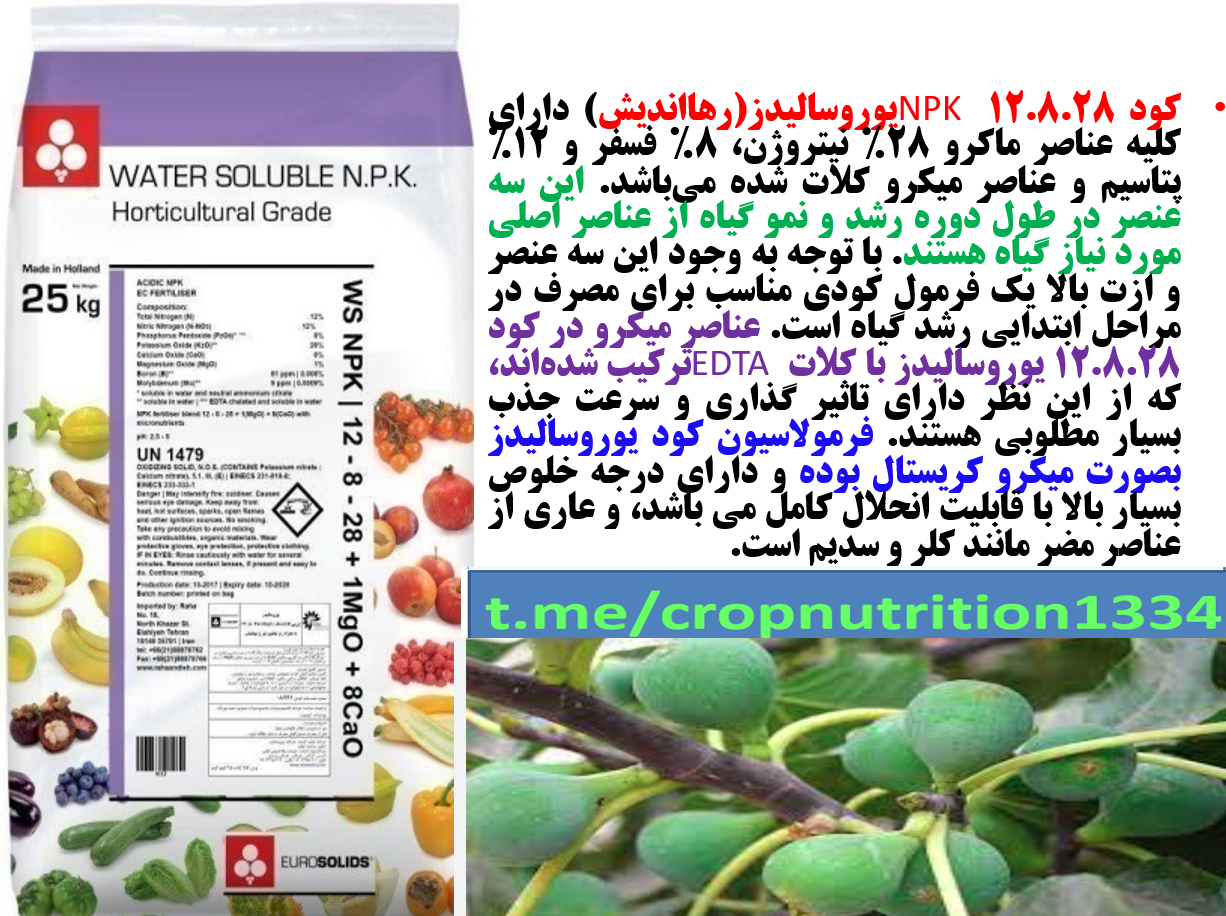 کود کامل یوروسالیدز برای درختان انجیر – قسمت سوم 773