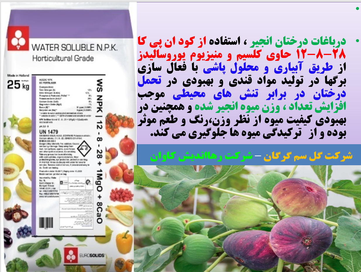 کود کامل یوروسالیدز برای درختان انجیر - قسمت اول 775