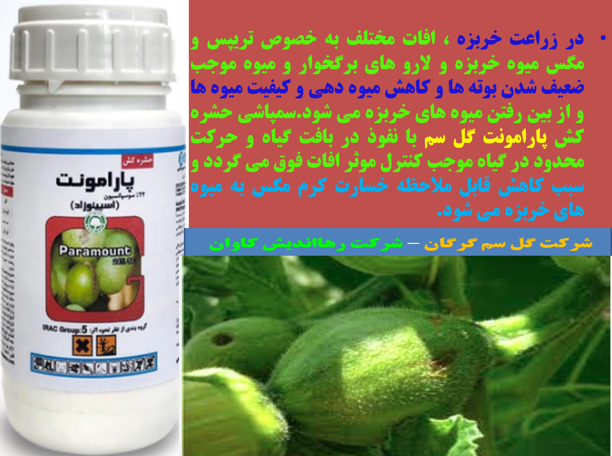 حشره کش پارامونت گل سم برای کنترل افات خربزه - قسمت اول 772