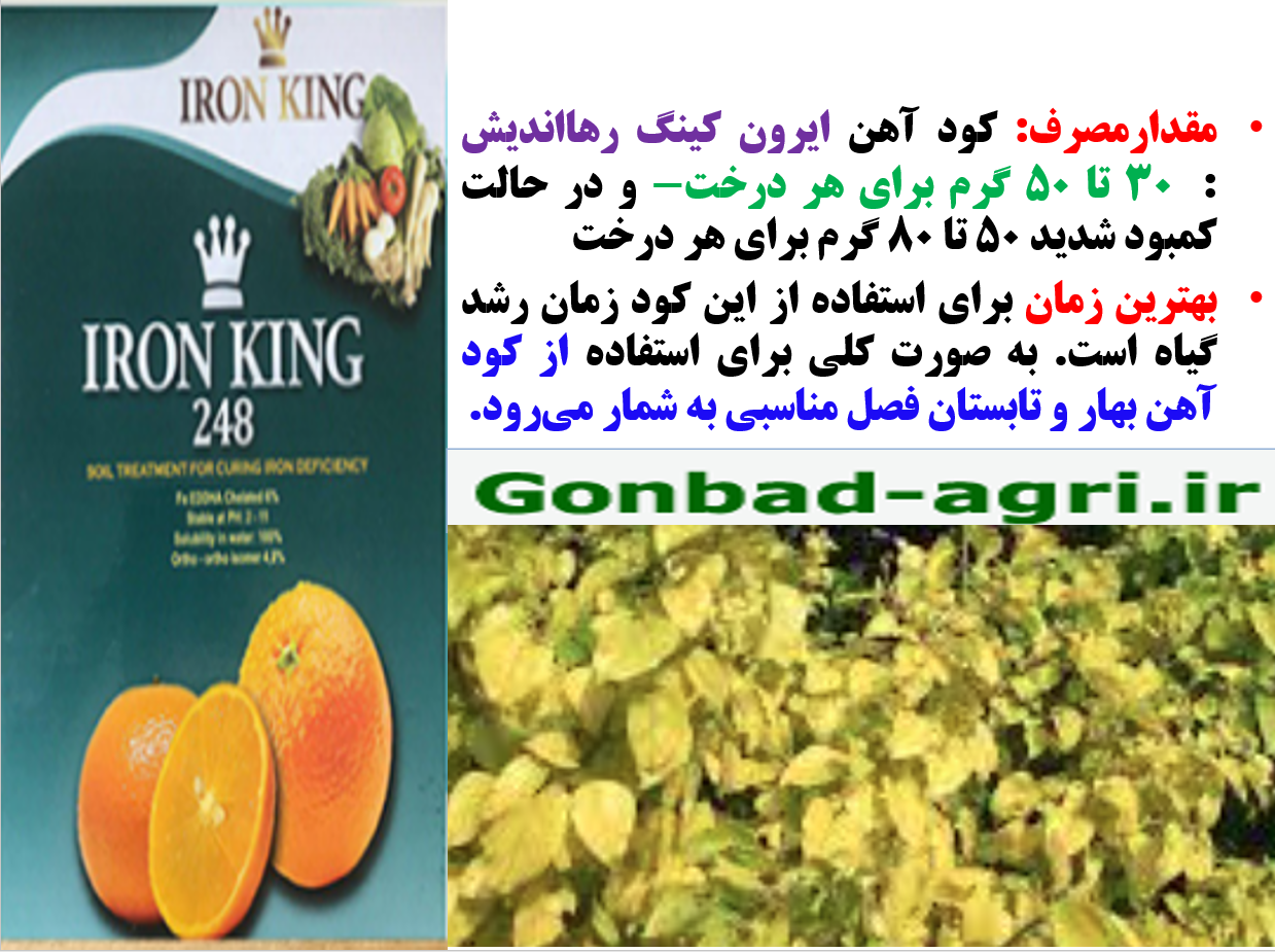 کود آهن ایرون کینگ رهااندیش – قسمت دوم 762