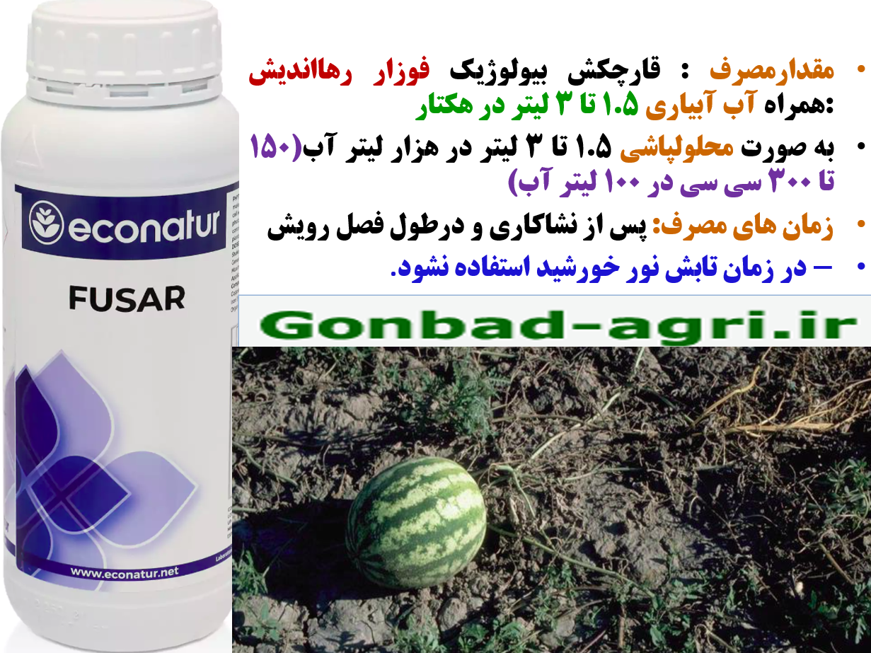 قارچکش بیولوژیک فوزار -رهااندیش – در زراعت هندوانه – قسمت دوم 756