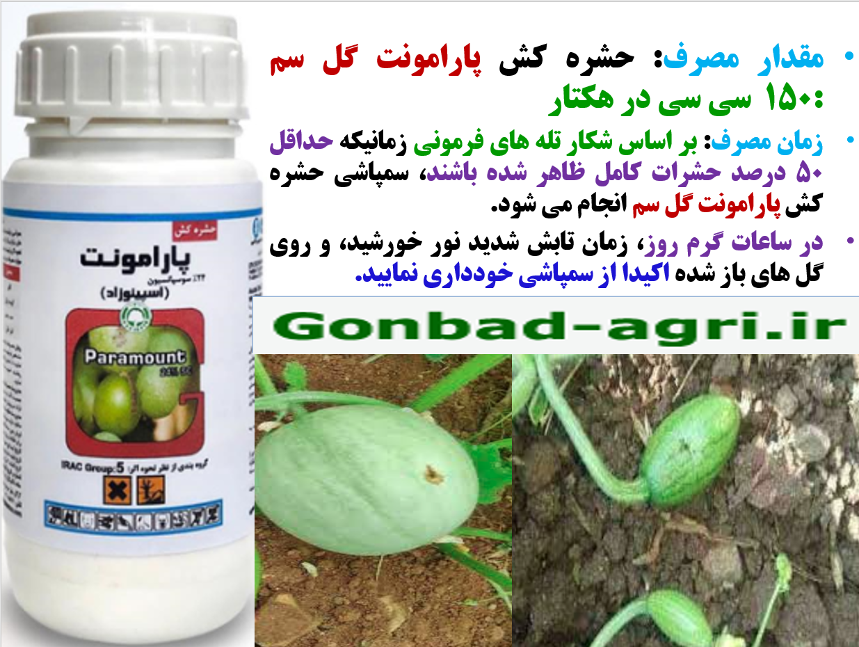 حشره کش پارامونت گل سم برای کنترل افات خربزه – قسمت دوم 771