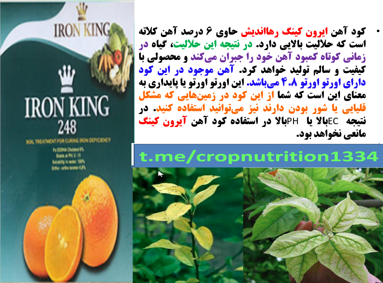 کود آهن ایرون کینگ رهااندیش – قسمت سوم 761
