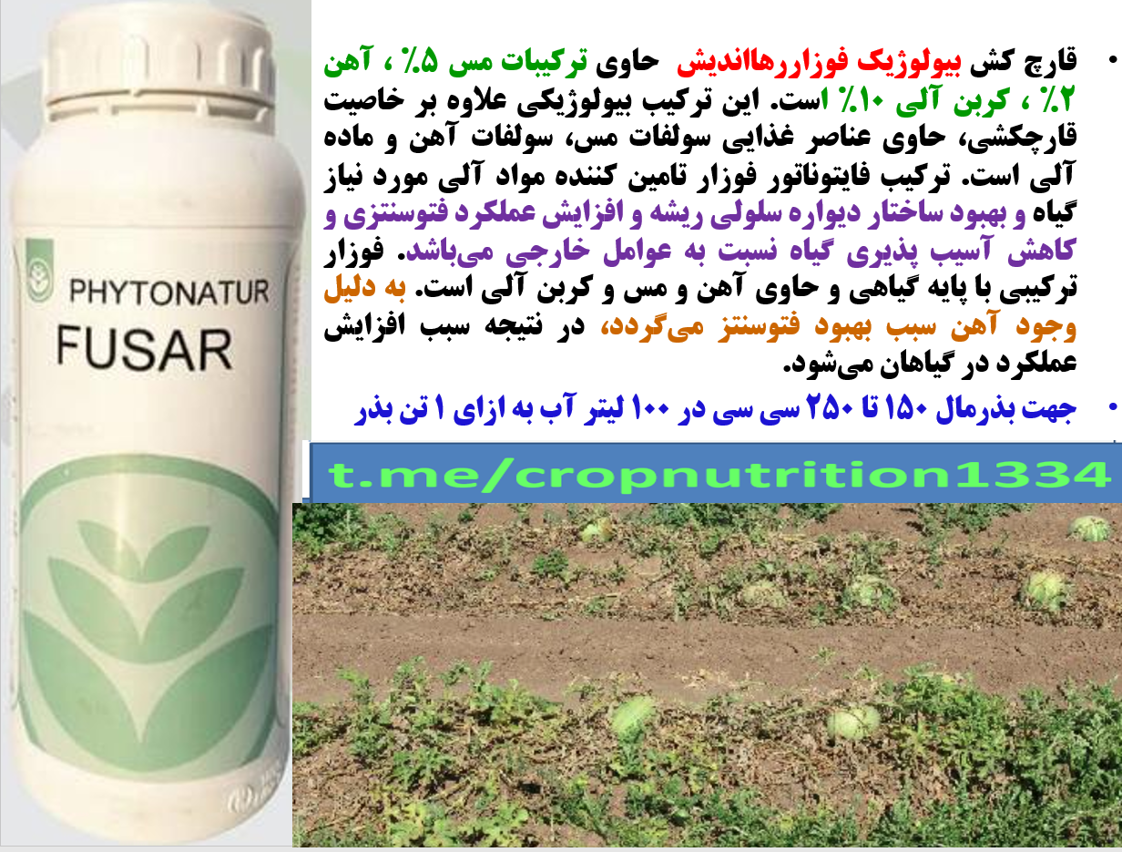 قارچکش بیولوژیک فوزار -رهااندیش – در زراعت هندوانه – قسمت سوم 755