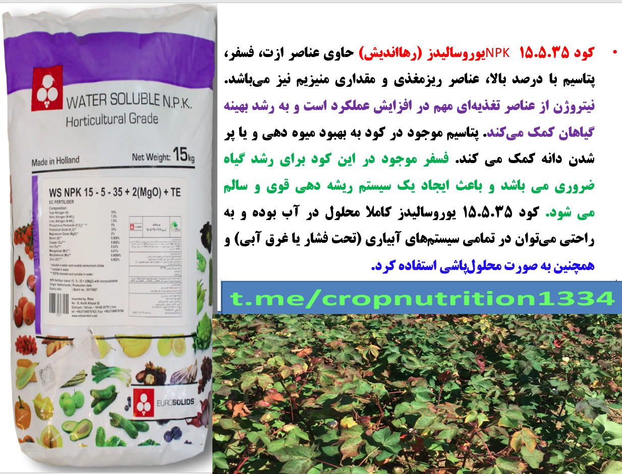 زراعت پنبه - کودیوروسالیدز- قسمت سوم 743