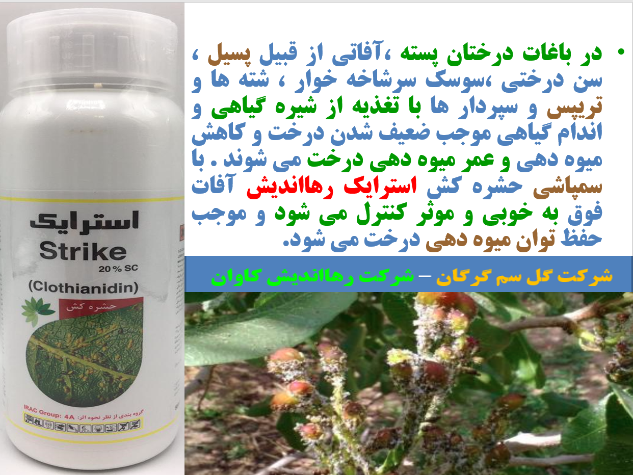 حشره کش استرایک رهااندیش -افات پسته - قسمت اول 751