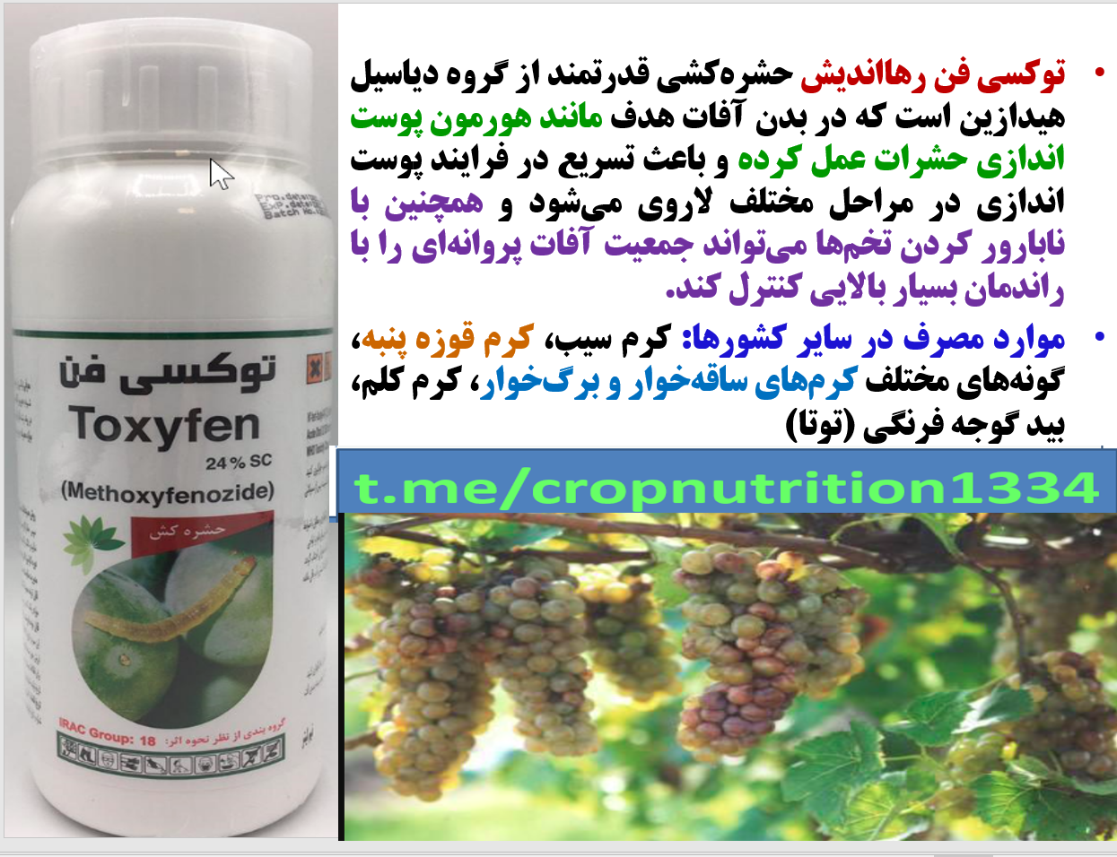 حشره کش توکسی فن رهااندیش- کرم خوشه خوار انگور - قسمت سوم 752