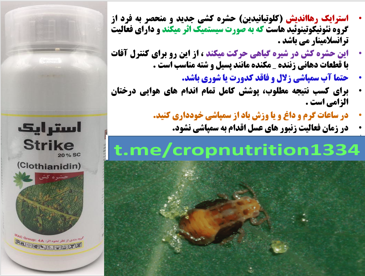 حشره کش استرایک رهااندیش -افات پسته - قسمت سوم 749