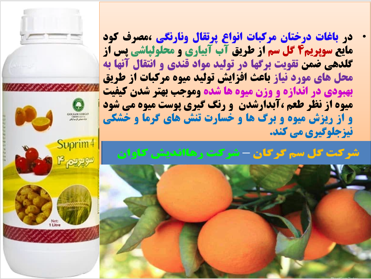 کود مایع سوپریم۴ - گل سم برای تقویت میوه دهی درختان مرکبات - قسمت اول 727
