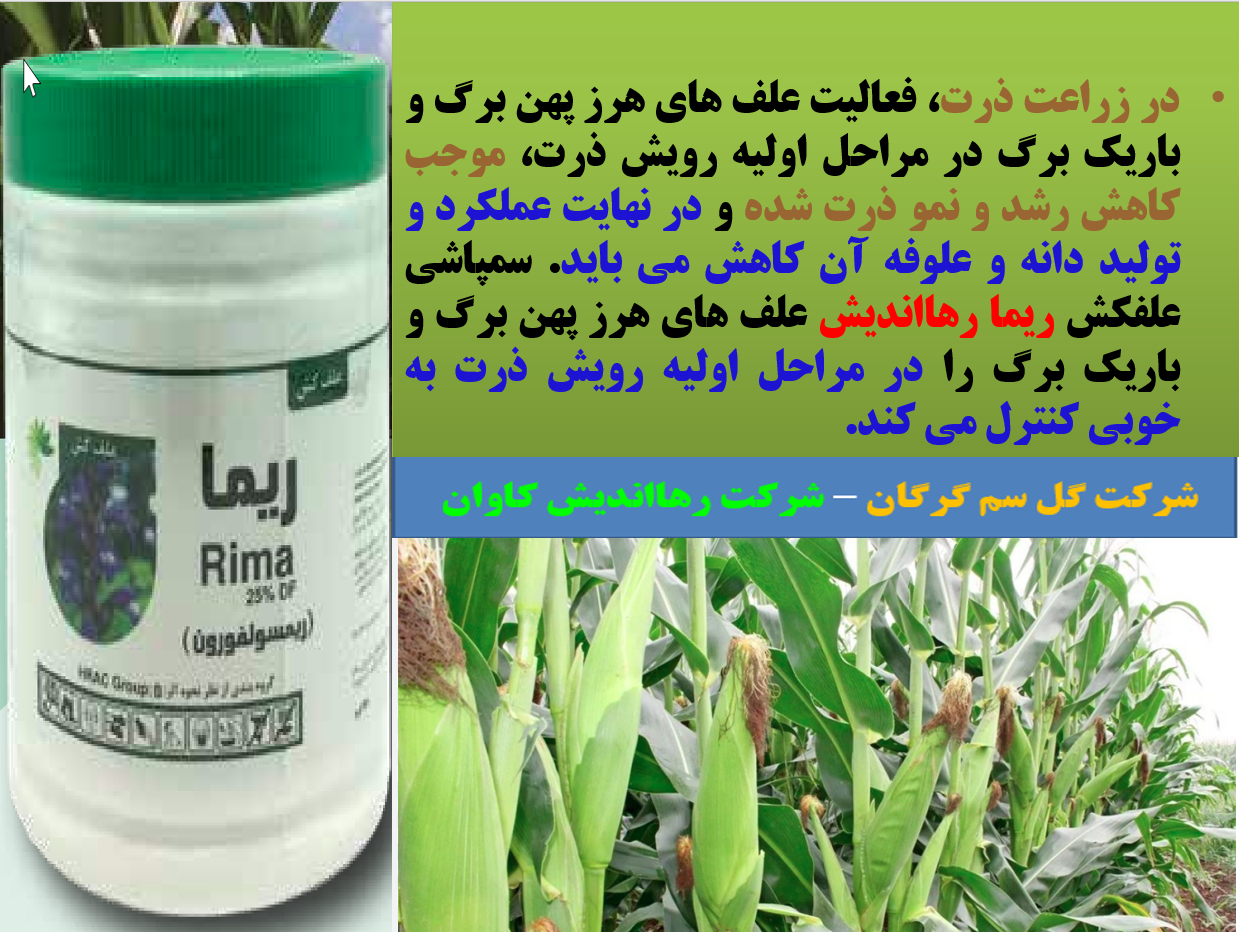 علفکش ریما- رهااندیش -زراعت ذرت - قسمت اول 742