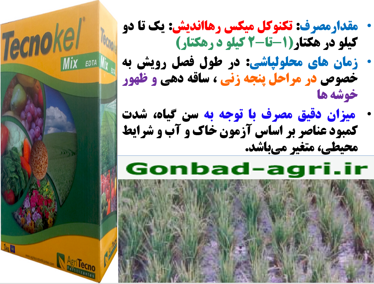 کود ریزمغذی تکنوکل میکس برای افزایش اجزا عملکرد برنج – قسمت دوم 717