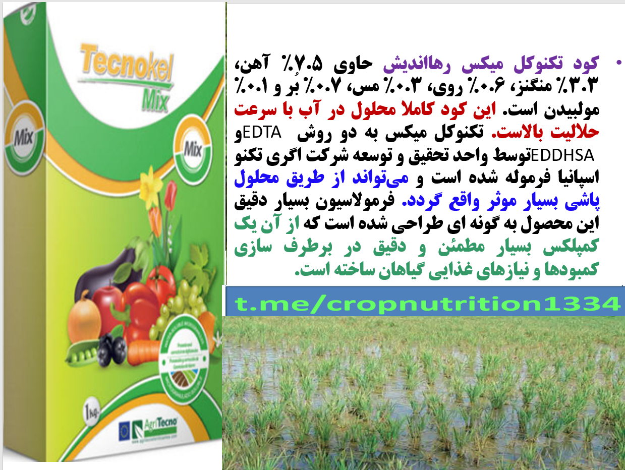 کود ریزمغذی تکنوکل میکس برای افزایش اجزا عملکرد برنج – قسمت سوم 716