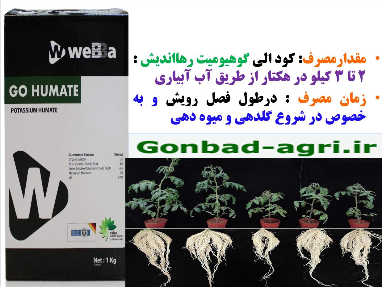 کودآلی گوهیومیت-رهااندیش - برای تقویت بوته های گوجه فرنگی - قسمت دوم 735