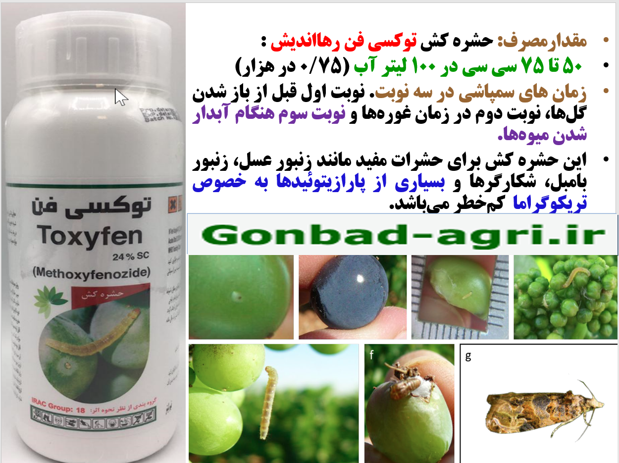 حشره کش توکسی فن رهااندیش- کرم خوشه خوار انگور - قسمت دوم 753