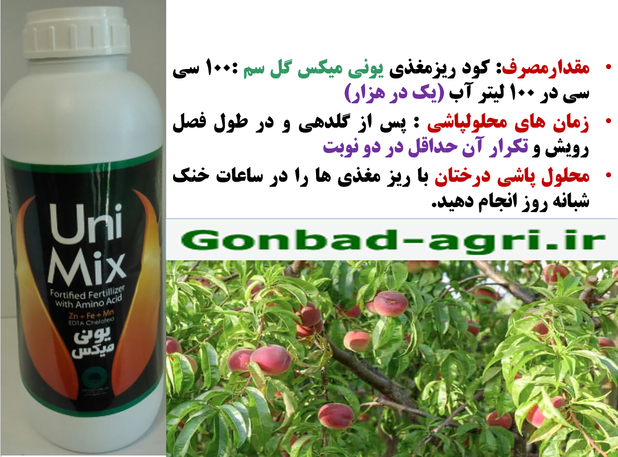 کودریزمغذی یونی میکس برای افزایش میوه دهی با کیفیت درختان هلو و شلیل- قسمت دوم 714