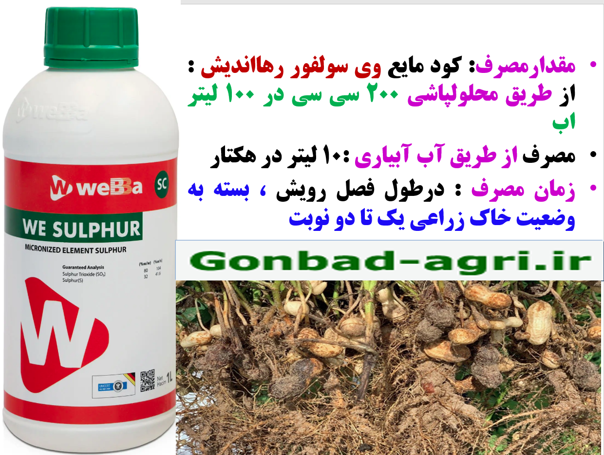 وی سولفور رهااندیش برای حفظ سلامت بوته های بادام زمینی – قسمت دوم 690