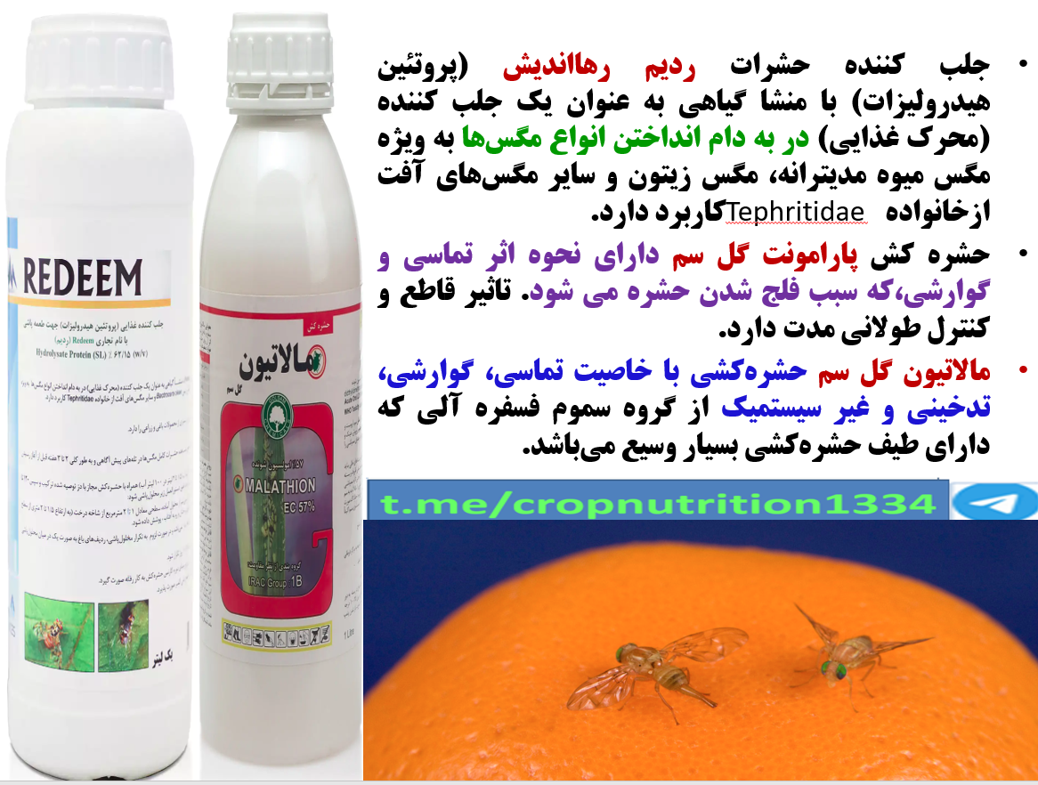کنترل مگس های میوه با ردیم رهااندیش – قسمت سوم 692