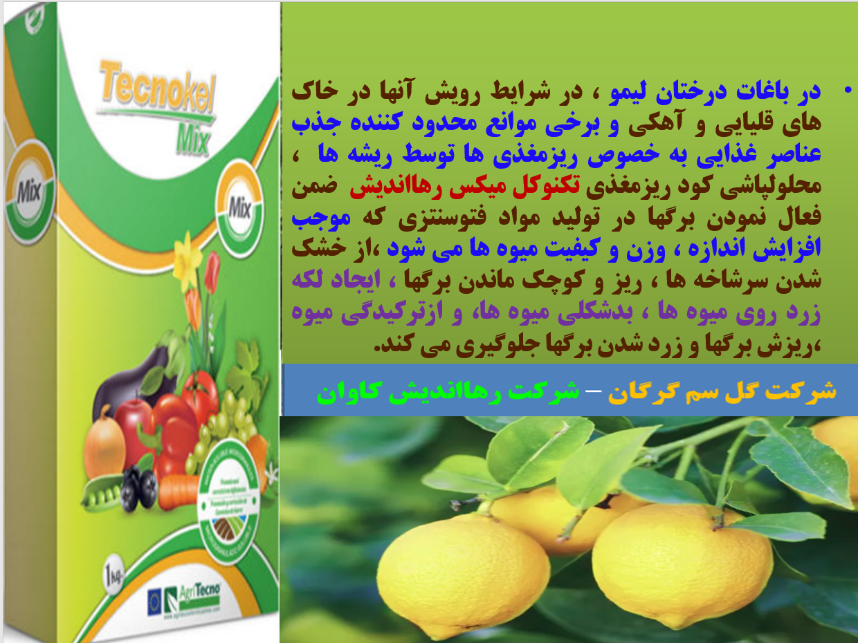 کود تکنوکل میکس برای بهبودی در کیفیت میوه لیمو - قسمت اول 709