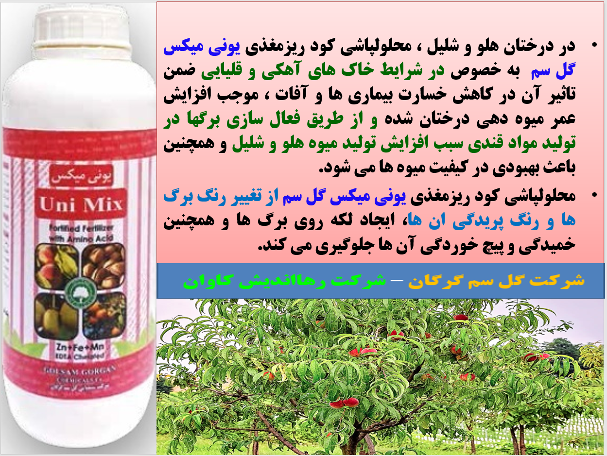 کودریزمغذی یونی میکس برای افزایش میوه دهی با کیفیت درختان هلو و شلیل- قسمت اول 715