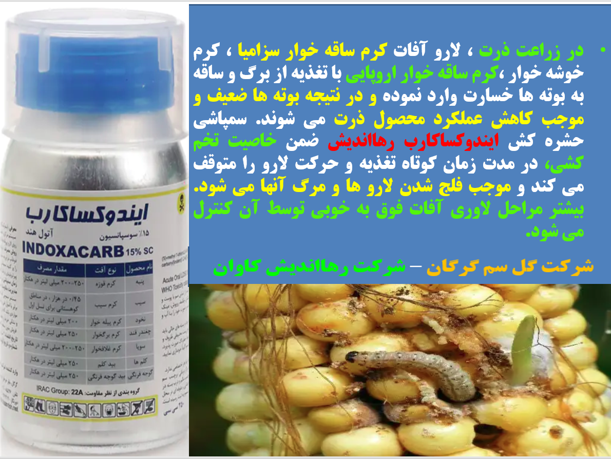 حشره کش ایندوکساکارب رهااندیش برای کنترل آفات ذرت - قسمت اول 703