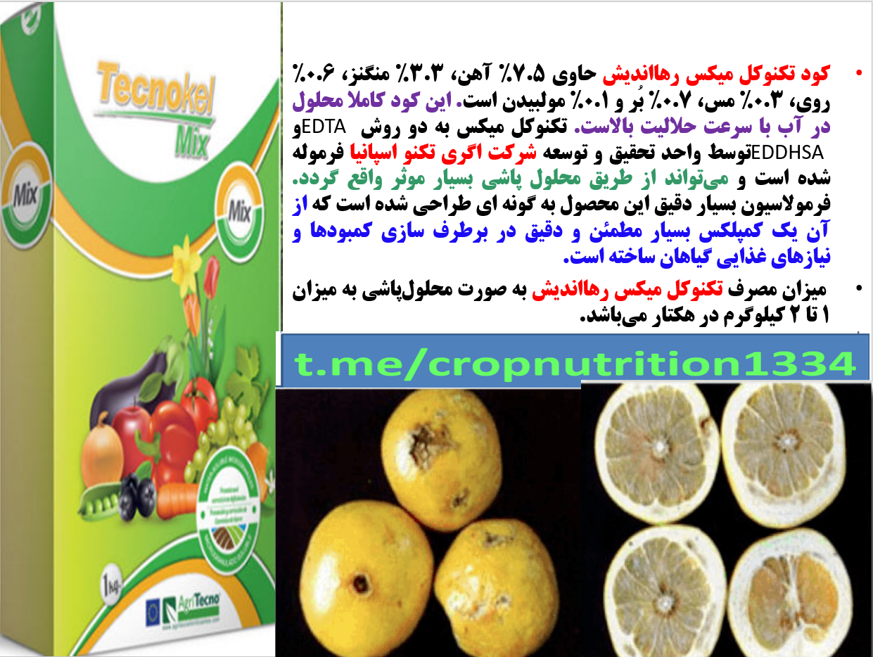 کود تکنوکل میکس برای بهبودی در کیفیت میوه لیمو – قسمت سوم 707