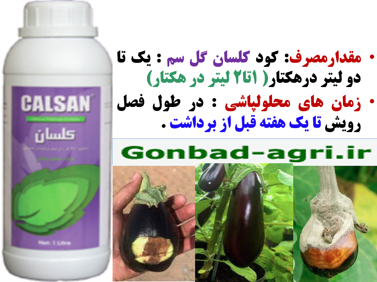 کود کلسان گل سم برای بهبودی میوه بادمجان- قسمت دوم 705