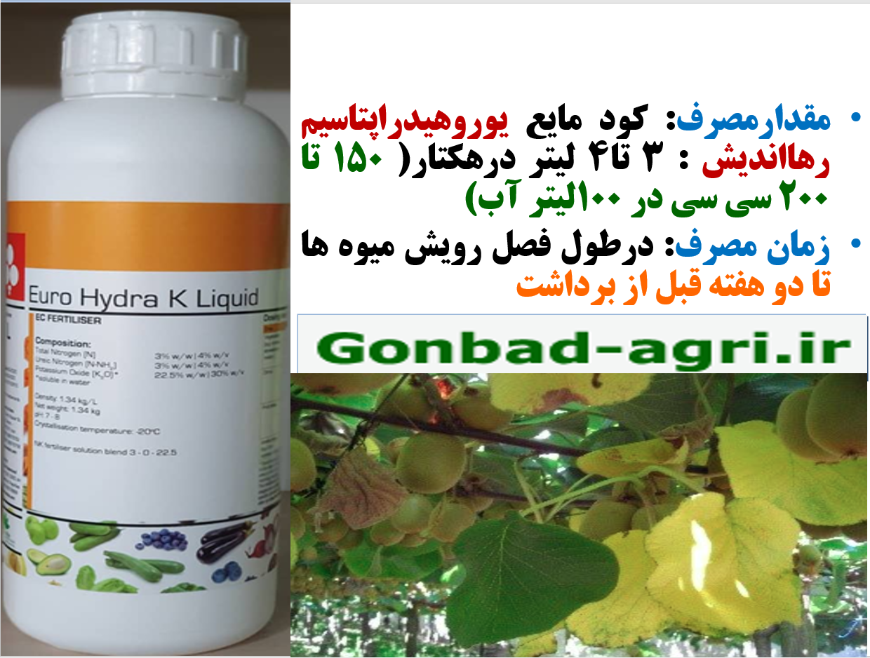 کود مایع یوروهیدرا پتاسیم برای بهبودی در کیفیت میوه کیوی – قسمت دوم 653