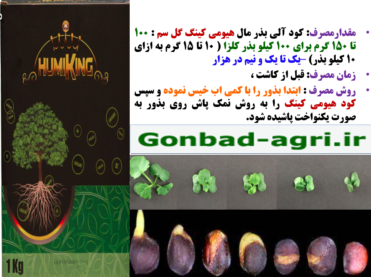 کودآلی هیومی کینگ گل سم برای بذر مالی بذور کلزا – قسمت دوم 655