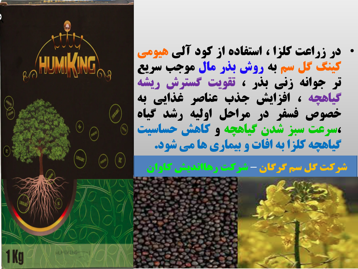 کودآلی هیومی کینگ گل سم برای بذر مالی بذور کلزا - قسمت اول 105