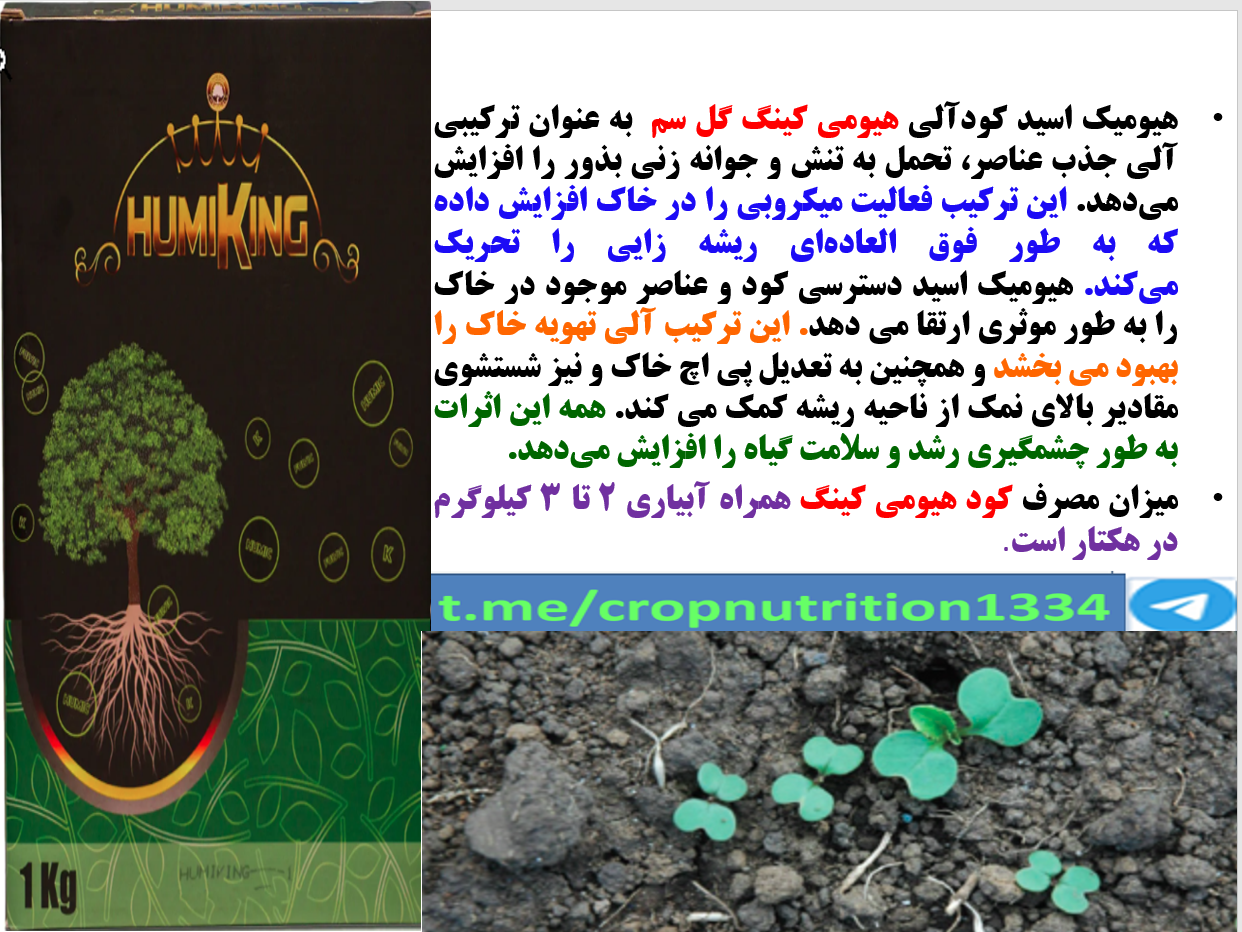 کودآلی هیومی کینگ گل سم برای بذر مالی بذور کلزا – قسمت سوم 103