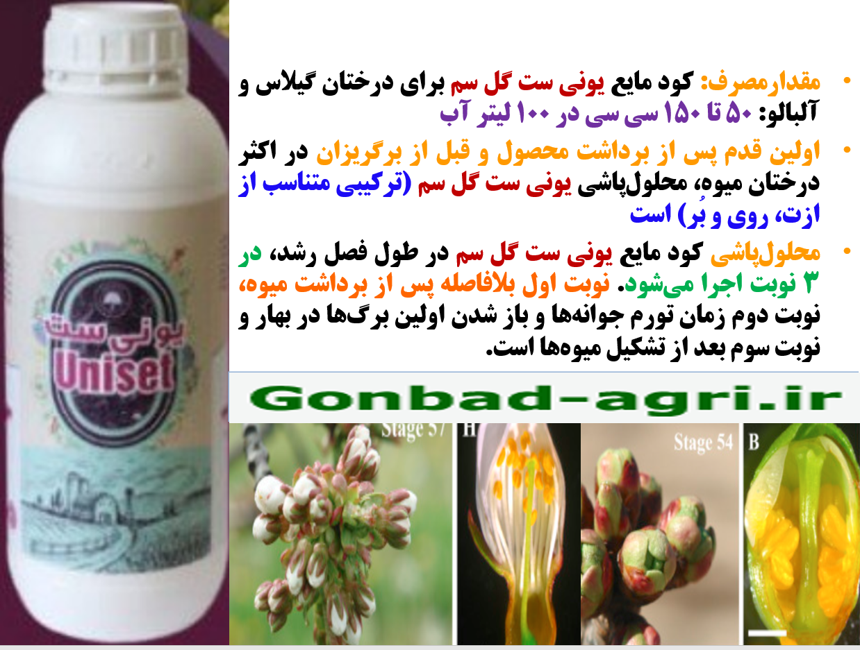 کود یونی ست گل سم برای فروت ست درختان گیلاس وآلبالو- قسمت دوم 672