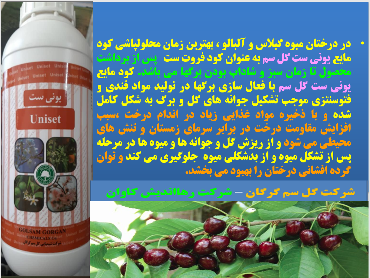 کود یونی ست گل سم برای فروت ست درختان گیلاس وآلبالو- قسمت اول 673