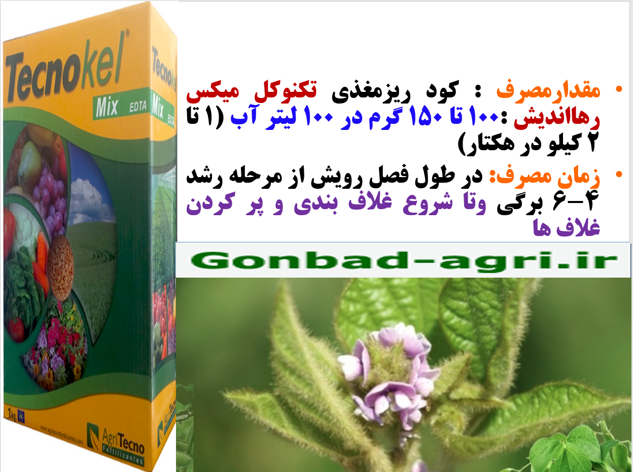 کود ریزمغذی تکنوکل میکس برای تقویت غلاف بندی در زراعت سویا- قسمت دوم 678
