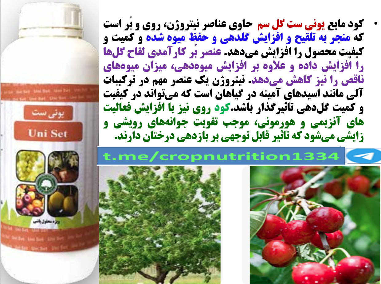 کود یونی ست گل سم برای فروت ست درختان گیلاس وآلبالو- قسمت سوم 671