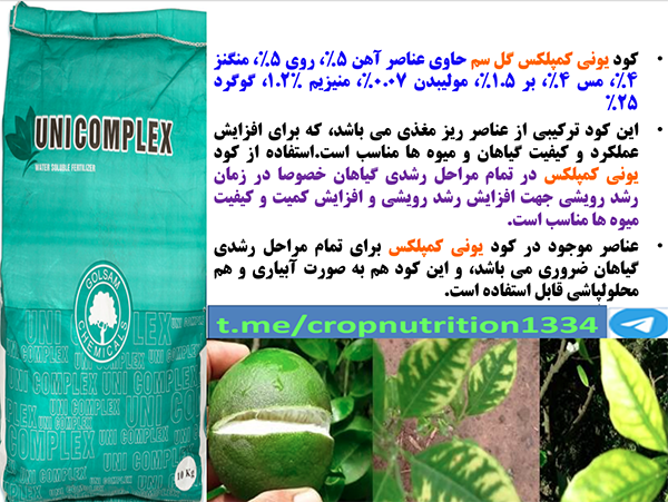 کود ریزمغذی یونی کمپلکس گل سم برای تقویت درختان مرکبات- قسمت سوم 640