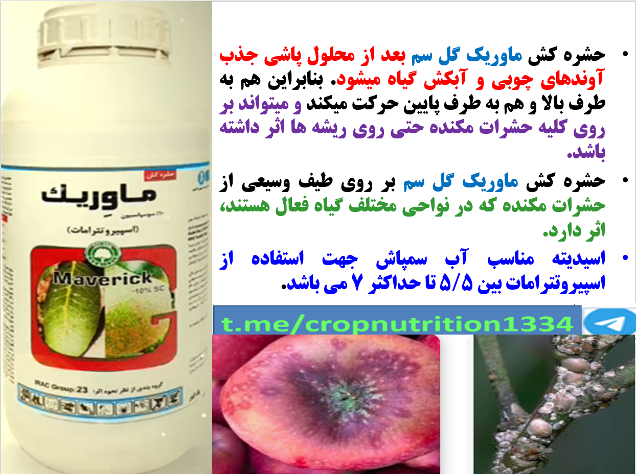 حشره کش ماوریک گل سم برای کنترل آفات مکنده درختان سیب – قسمت سوم 631