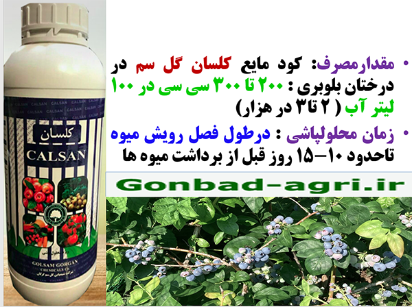 محلولپاشی کود مایع کلسان گل سم برای بهبودی در تولید و کیفیت میوه بلوبری – قسمت دوم 644