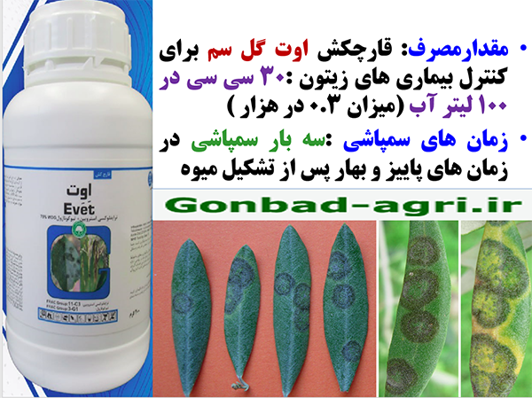 قارچکش اوت گل سم برای کنترل بیماری های درختان زیتون – قسمت دوم 638