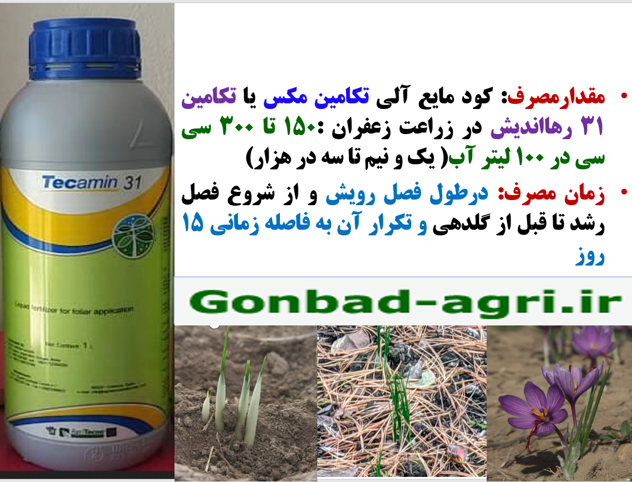 کودآلی تکامین مکس رهااندیش برای افزایش توان گلدهی بوته های زعفران – قسمت دوم 626