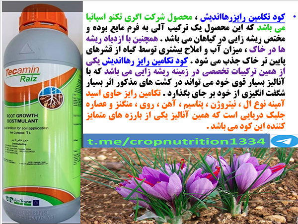 کود آلی تکامین رایز رهااندیش برای تقویت گلدهی بوته های زعفران – قسمت سوم 634