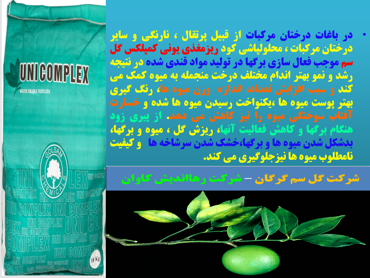 کود ریزمغذی یونی کمپلکس گل سم برای تقویت درختان مرکبات- قسمت اول 642