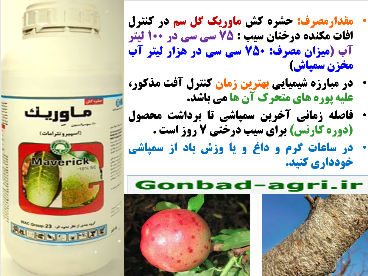 حشره کش ماوریک گل سم برای کنترل آفات مکنده درختان سیب – قسمت دوم 632